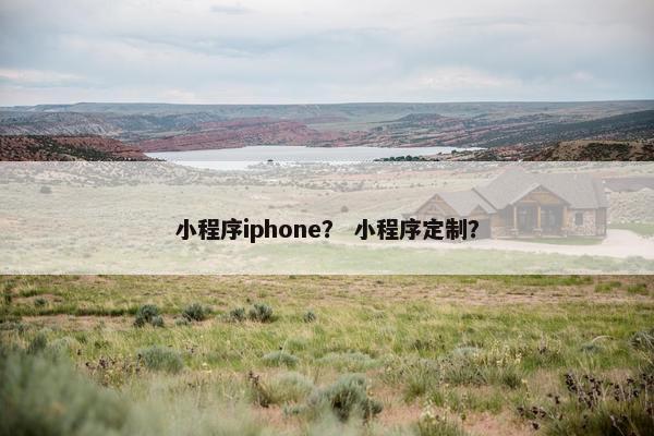 小程序iphone？ 小程序定制？
