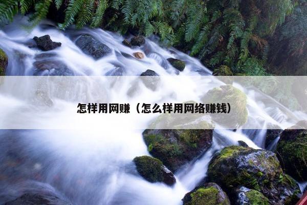 怎样用网赚（怎么样用网络赚钱）