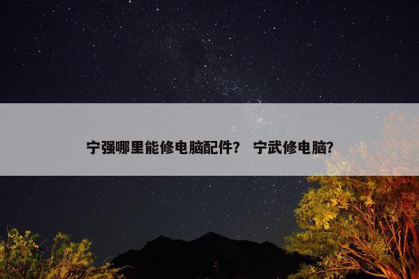 宁强哪里能修电脑配件？ 宁武修电脑？