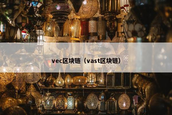 vec区块链（vast区块链）