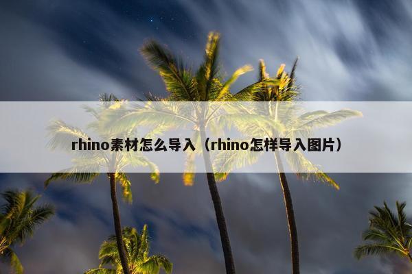 rhino素材怎么导入（rhino怎样导入图片）