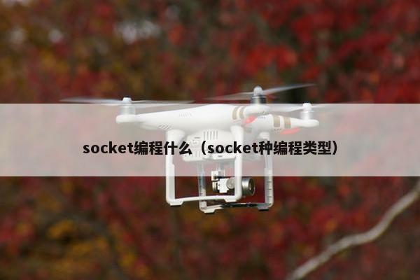 socket编程什么（socket种编程类型）