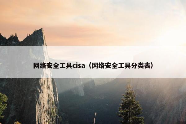 网络安全工具cisa（网络安全工具分类表）