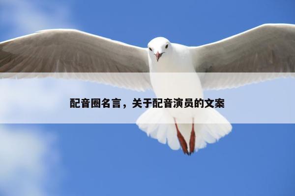 配音圈名言，关于配音演员的文案