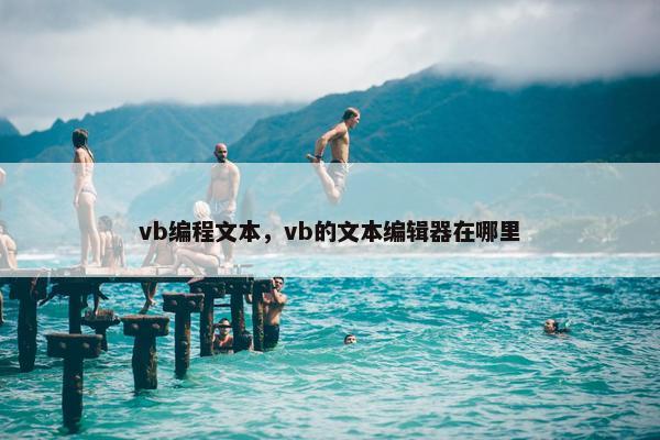 vb编程文本，vb的文本编辑器在哪里