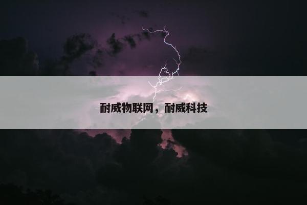 耐威物联网，耐威科技