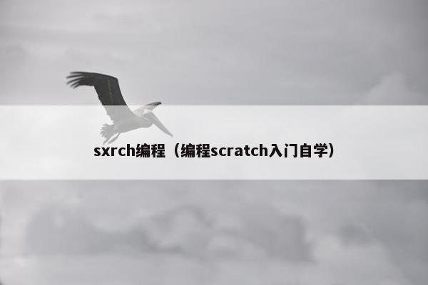 sxrch编程（编程scratch入门自学）