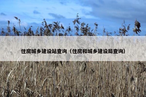 住房城乡建设站查询（住房和城乡建设局查询）