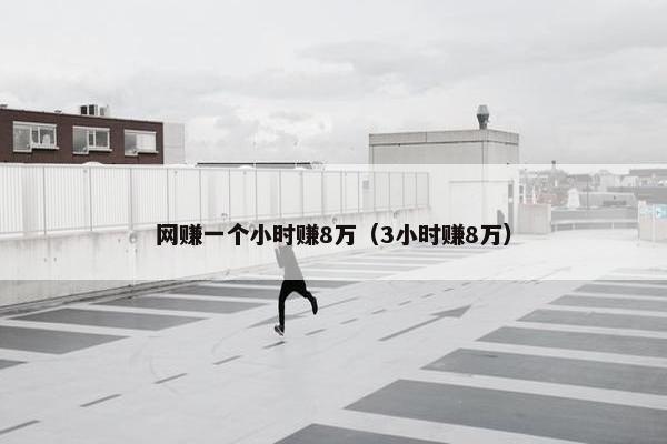 网赚一个小时赚8万（3小时赚8万）