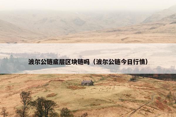 波尔公链底层区块链吗（波尔公链今日行情）