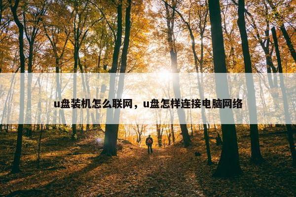 u盘装机怎么联网，u盘怎样连接电脑网络