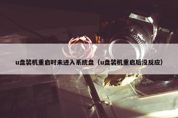u盘装机重启时未进入系统盘（u盘装机重启后没反应）
