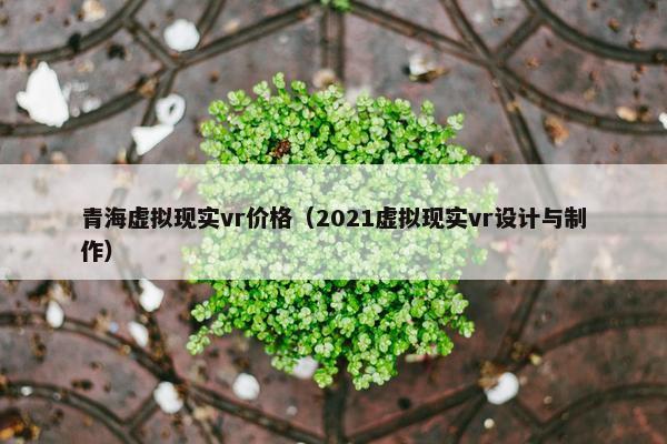 青海虚拟现实vr价格（2021虚拟现实vr设计与制作）