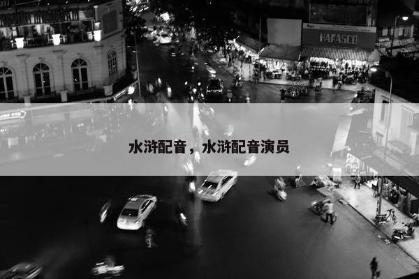 水浒配音，水浒配音演员