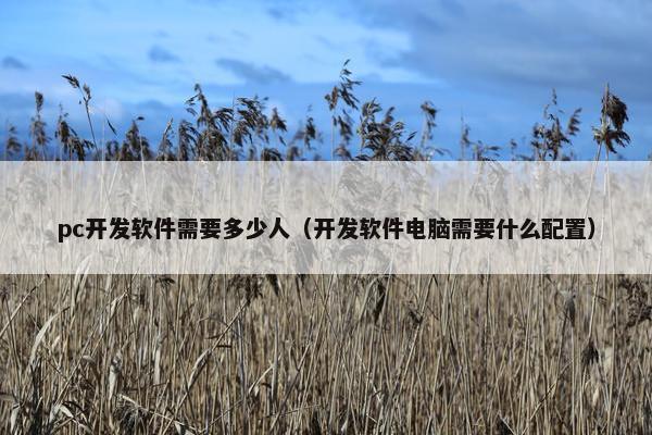 pc开发软件需要多少人（开发软件电脑需要什么配置）