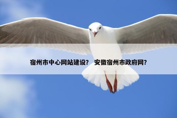 宿州市中心网站建设？ 安徽宿州市政府网？