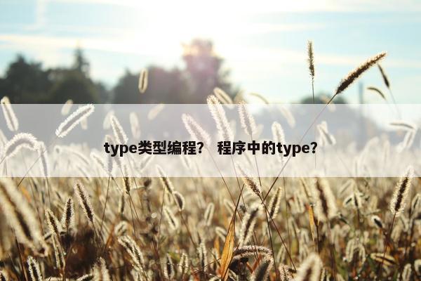 type类型编程？ 程序中的type？