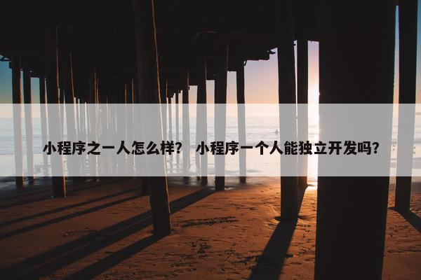 小程序之一人怎么样？ 小程序一个人能独立开发吗？