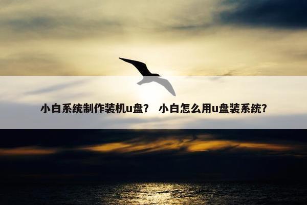 小白系统制作装机u盘？ 小白怎么用u盘装系统？