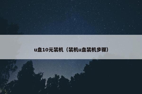 u盘10元装机（装机u盘装机步骤）