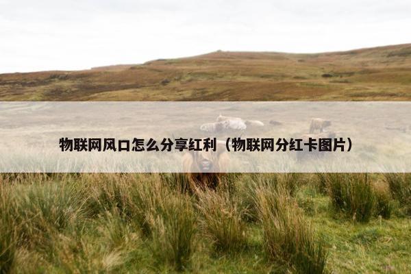 物联网风口怎么分享红利（物联网分红卡图片）