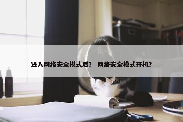 进入网络安全模式后？ 网络安全模式开机？