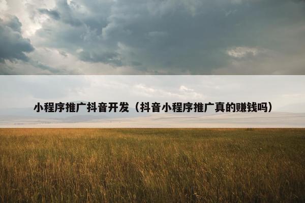 小程序推广抖音开发（抖音小程序推广真的赚钱吗）