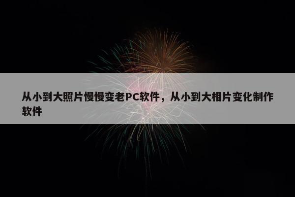 从小到大照片慢慢变老PC软件，从小到大相片变化制作软件