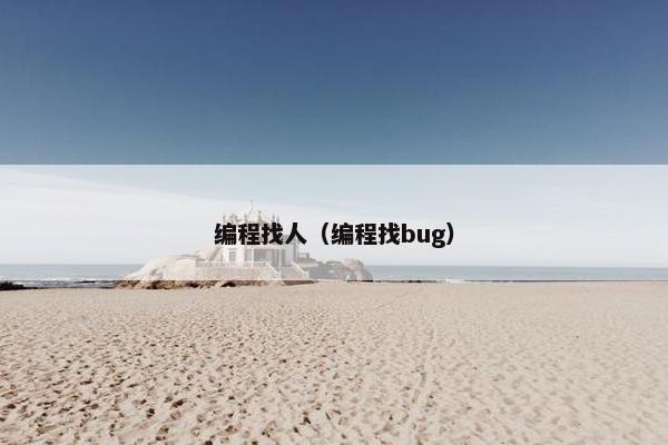 编程找人（编程找bug）