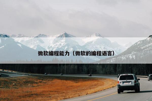 微软编程能力（微软的编程语言）