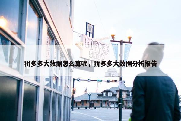 拼多多大数据怎么算呢，拼多多大数据分析报告