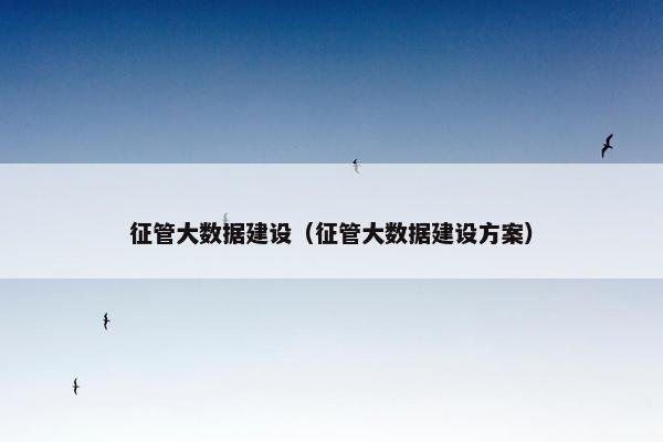 征管大数据建设（征管大数据建设方案）