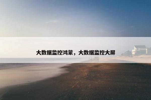 大数据监控鸿蒙，大数据监控大屏