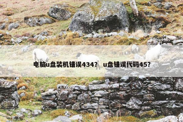 电脑u盘装机错误434？ u盘错误代码45？