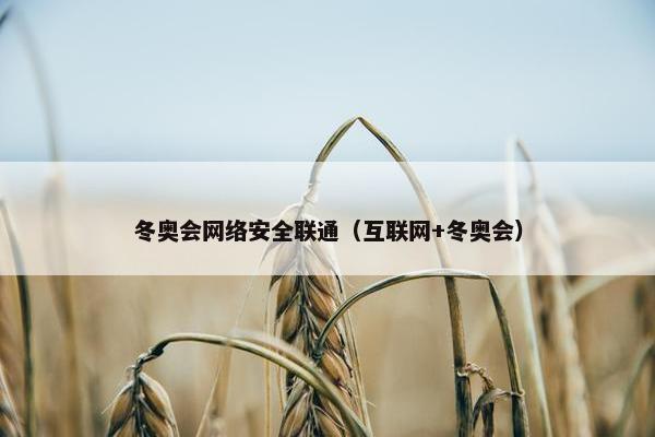 冬奥会网络安全联通（互联网+冬奥会）