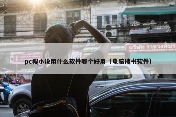 pc搜小说用什么软件哪个好用（电脑搜书软件）