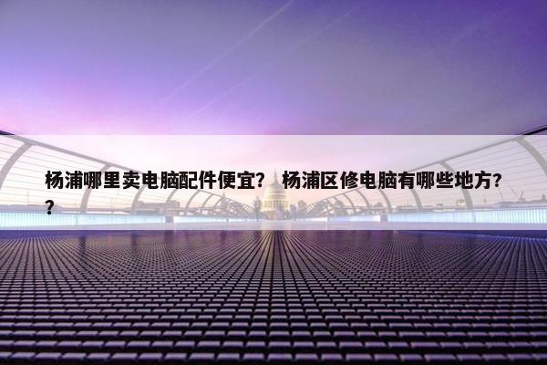 杨浦哪里卖电脑配件便宜？ 杨浦区修电脑有哪些地方?？