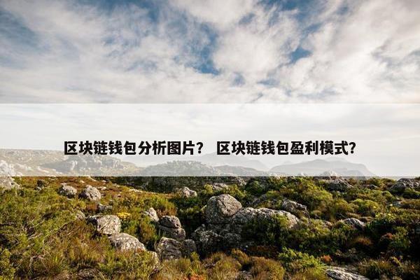 区块链钱包分析图片？ 区块链钱包盈利模式？
