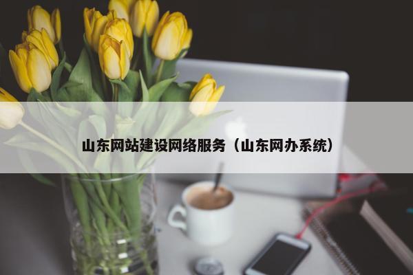 山东网站建设网络服务（山东网办系统）