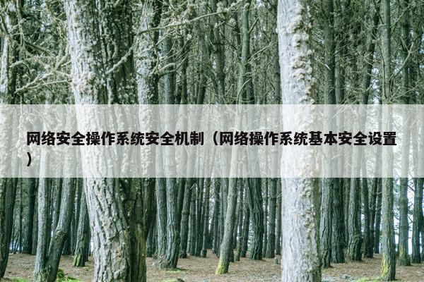 网络安全操作系统安全机制（网络操作系统基本安全设置）