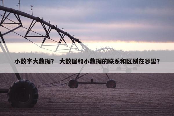 小数字大数据？ 大数据和小数据的联系和区别在哪里？