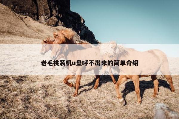 老毛桃装机u盘呼不出来的简单介绍