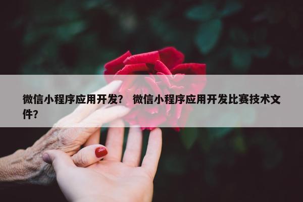 微信小程序应用开发？ 微信小程序应用开发比赛技术文件？