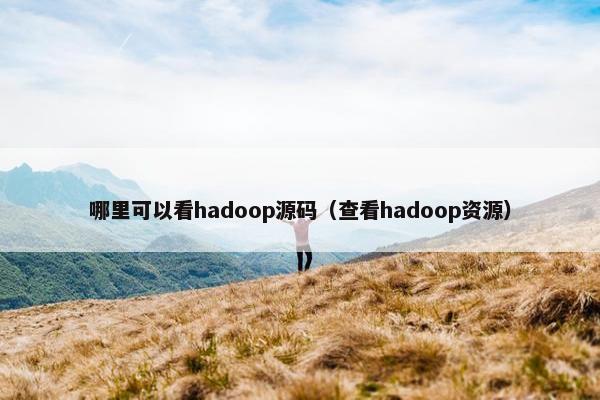 哪里可以看hadoop源码（查看hadoop资源）