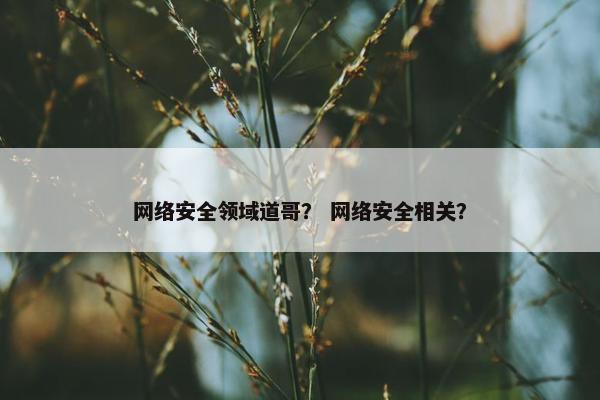 网络安全领域道哥？ 网络安全相关？