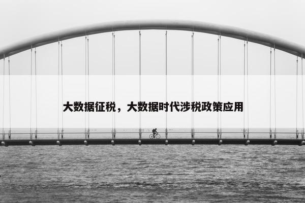 大数据征税，大数据时代涉税政策应用