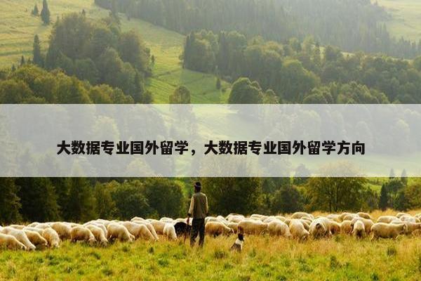 大数据专业国外留学，大数据专业国外留学方向