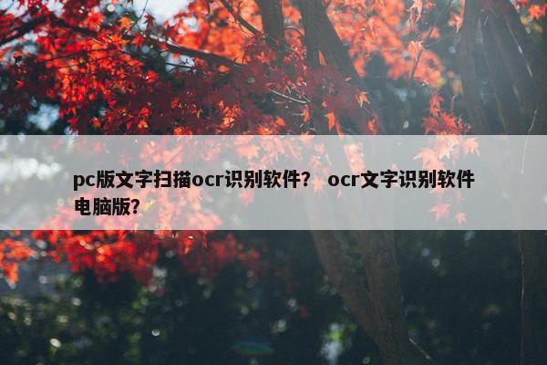 pc版文字扫描ocr识别软件？ ocr文字识别软件电脑版？