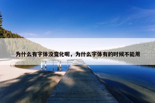 为什么有字体没变化呢，为什么字体有的时候不能用