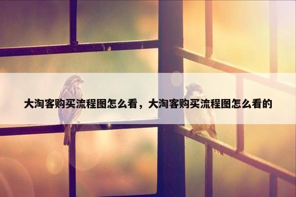 大淘客购买流程图怎么看，大淘客购买流程图怎么看的